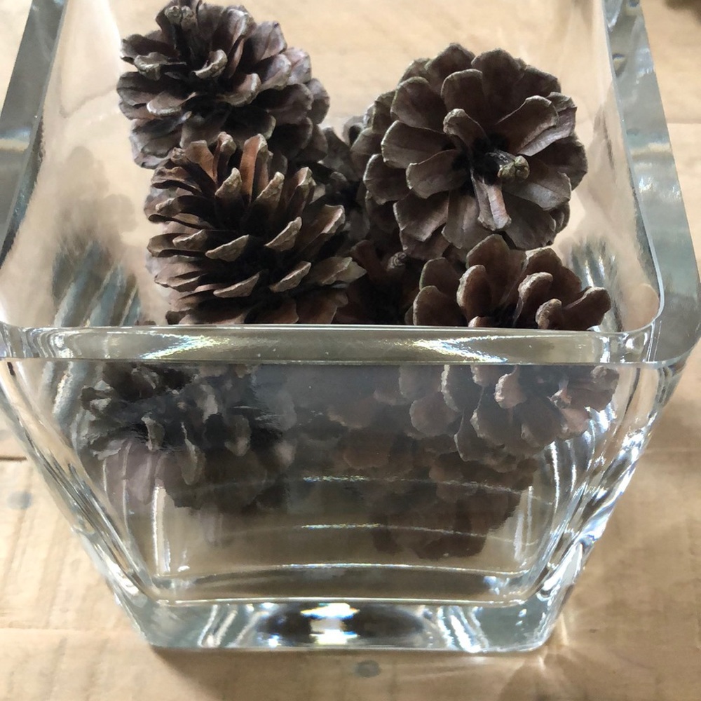 Beautiful Square Heavy Glass Vase with 1 Dozen (12) Northeast Pine Cones 7” Vase - Picture 4 of 8